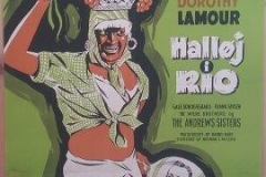 Halløj i Rio